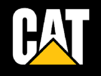 cat13